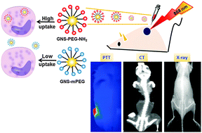 Graphical abstract: Gold nanostars functionalized with amine-terminated PEG for X-ray/CT imaging and photothermal therapy