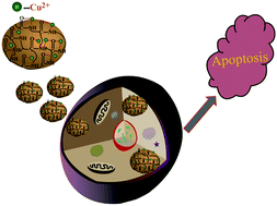 Graphical abstract: Cu2+-embedded carbon nanoparticles as anticancer agents