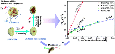 Graphical abstract: Ultra-high relaxivity iron oxide nanoparticles confined in polymer nanospheres for tumor MR imaging