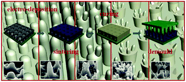 Graphical abstract: Fabrication of hierarchical gecko-inspired microarrays using a three-dimensional porous nickel oxide template