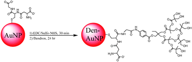 Graphical abstract: Stability, cytotoxicity and cell uptake of water-soluble dendron–conjugated gold nanoparticles with 3, 12 and 17 nm cores