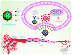 Graphical abstract: The rational design of NAMI-A-loaded mesoporous silica nanoparticles as antiangiogenic nanosystems