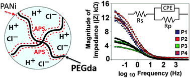 Graphical abstract: Fabrication of conductive polyaniline hydrogel using porogen leaching and projection microstereolithography