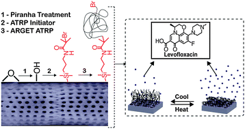 Graphical abstract: Fabrication of stimulus-responsive diatom biosilica microcapsules for antibiotic drug delivery