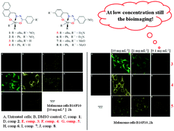 Graphical abstract: New application of fluorescent organotin compounds derived from Schiff bases: synthesis, X-ray structures, photophysical properties, cytotoxicity and fluorescent bioimaging