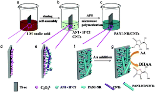 Graphical abstract: Facile and fast fabrication of polyaniline nanorods on acidized titanium foils with a synergistic effect for electrochemical sensing
