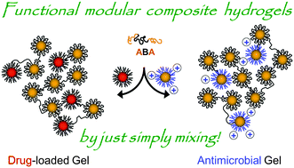 Graphical abstract: Modular composite hydrogels from cholesterol-functionalized polycarbonates for antimicrobial applications