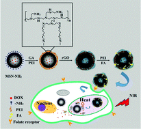 Graphical abstract: Reduced graphene oxide gated mesoporous silica nanoparticles as a versatile chemo-photothermal therapy system through pH controllable release