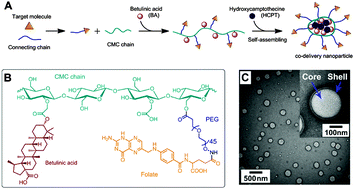 Graphical abstract: A novel self-assembled targeted nanoparticle platform based on carboxymethylcellulose co-delivery of anticancer drugs