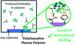 Graphical abstract: Properties and reactivity of polyoxazoline plasma polymer films