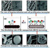 Graphical abstract: Nanoporous structured carbon nanofiber–bioactive glass composites for skeletal tissue regeneration