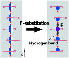 Graphical abstract: Dielectric properties of fluorine substituted hydroxyapatite: the effect of the substitution on configuration of hydroxide ion chains
