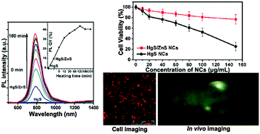 Graphical abstract: Ultra-bright near-infrared-emitting HgS/ZnS core/shell nanocrystals for in vitro and in vivo imaging