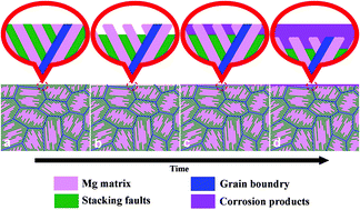 Graphical abstract: Enhancing the performance of Mg-based implant materials by introducing basal plane stacking faults
