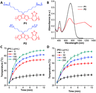 Graphical abstract: Narrow band gap conjugated polyelectrolytes for photothermal killing of bacteria
