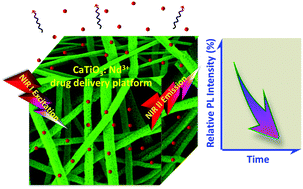 Graphical abstract: Near-infrared luminescent CaTiO3:Nd3+ nanofibers with tunable and trackable drug release kinetics