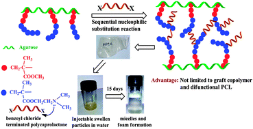 Graphical abstract: Degradable/cytocompatible and pH responsive amphiphilic conetwork gels based on agarose-graft copolymers and polycaprolactone