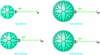 Graphical abstract: Efficient delivery of small interfering RNA into cancer cells using dodecylated dendrimers