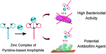 Graphical abstract: A zinc complex of a neutral pyridine-based amphiphile: a highly efficient and potentially therapeutic bactericidal material
