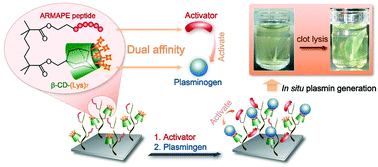 Graphical abstract: Surfaces having dual affinity for plasminogen and tissue plasminogen activator: in situ plasmin generation and clot lysis