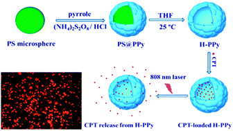 Graphical abstract: The preparation, drug loading and in vitro NIR photothermal-controlled release behavior of raspberry-like hollow polypyrrole microspheres