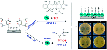 Graphical abstract: Antibacterial and photochemical properties of cellulose nanofiber–titania nanocomposites loaded with two different types of antibiotic medicines