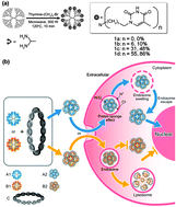 Graphical abstract: Designed nucleus penetrating thymine-capped dendrimers: a potential vehicle for intramuscular gene transfection