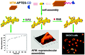 Graphical abstract: Supramolecular assemblies constructed from β-cyclodextrin-modified montmorillonite nanosheets as carriers for 5-fluorouracil