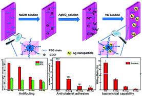 Graphical abstract: Ag-nanogel blended polymeric membranes with antifouling, hemocompatible and bactericidal capabilities