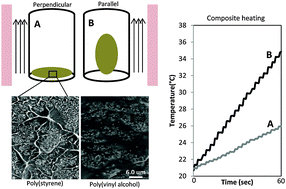 Graphical abstract: Magnetic nanoparticle/polymer composites for medical implant infection control