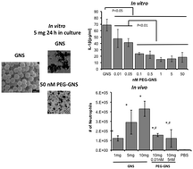 Graphical abstract: The effect of PEGylation on the stimulation of IL-1β by gold (Au) nanoshell/silica core nanoparticles