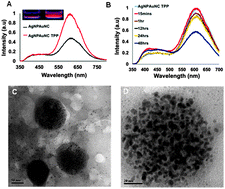 Graphical abstract: Bimetallic silver nanoparticle–gold nanocluster embedded composite nanoparticles for cancer theranostics