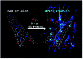 Graphical abstract: Electrospun nanofibrous membranes incorporating an imidazole-appended p-phenylene-Cu(ii) ensemble as fluoroprobes for the detection of His-proteins