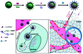 Graphical abstract: Facile synthesis of yolk–shell silica nanoparticles for targeted tumor therapy