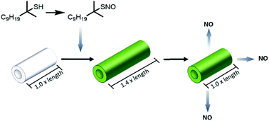 Graphical abstract: The preparation and characterization of nitric oxide releasing silicone rubber materials impregnated with S-nitroso-tert-dodecyl mercaptan
