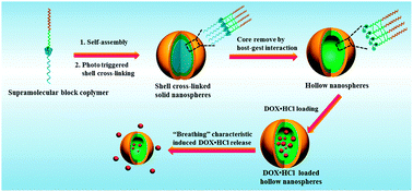 Graphical abstract: Photo-controlled host–guest interaction as a new strategy to improve the preparation of “breathing” hollow polymer nanospheres for controlled drug delivery