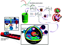 Graphical abstract: Exosome-inspired targeting of cancer cells with enhanced affinity