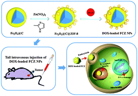 Graphical abstract: Fe3O4@carbon@zeolitic imidazolate framework-8 nanoparticles as multifunctional pH-responsive drug delivery vehicles for tumor therapy in vivo