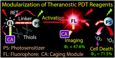 Graphical abstract: Maximizing the thiol-activated photodynamic and fluorescence imaging functionalities of theranostic reagents by modularization of Bodipy-based dyad triplet photosensitizers