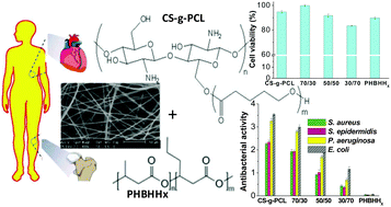 Graphical abstract: Electrospun fibers of chitosan-grafted polycaprolactone/poly(3-hydroxybutyrate-co-3-hydroxyhexanoate) blends