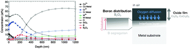 Graphical abstract: Preventing high-temperature oxidation of Co–Cr-based dental alloys by boron doping