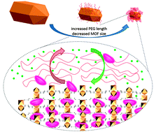 Graphical abstract: The effect of PEG length on the size and guest uptake of PEG-capped MIL-88A particles