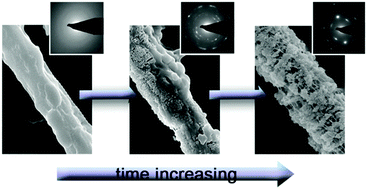 Graphical abstract: Confinement controlled mineralization of calcium carbonate within collagen fibrils