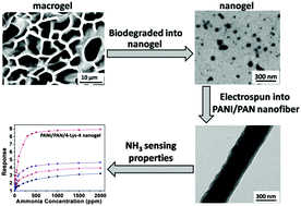 Graphical abstract: A rapid ammonia sensor based on lysine nanogel-sensitized PANI/PAN nanofibers