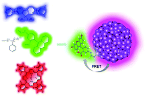 Graphical abstract: Simultaneous imaging of intracellular pH and O2 using functionalized semiconducting polymer dots