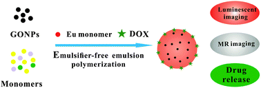 Graphical abstract: Smart polymeric particle encapsulated gadolinium oxide and europium: theranostic probes for magnetic resonance/optical imaging and antitumor drug delivery