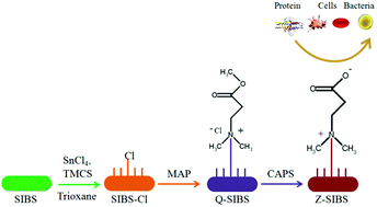 Graphical abstract: Infection-resistant styrenic thermoplastic elastomers that can switch from bactericidal capability to anti-adhesion