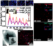 Graphical abstract: Novel drug delivery nanosystems based on out-inside bifunctionalized mesoporous silica yolk–shell magnetic nanostars used as nanocarriers for curcumin