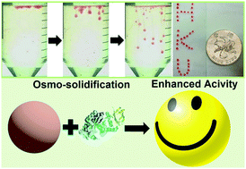 Graphical abstract: Osmo-solidification of all-aqueous emulsion with enhanced preservation of protein activity