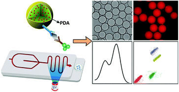 Graphical abstract: Microfluidic synthesis of QD-encoded PEGDA microspheres for suspension assay